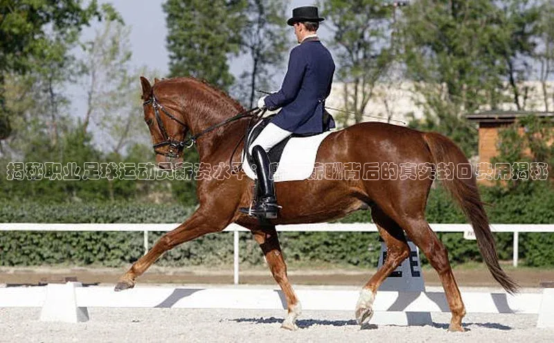 辉达娱乐注册登录入口美团揭秘职业足球运动员薪资水平：殷实薪酬背后的真实封口费用揭秘