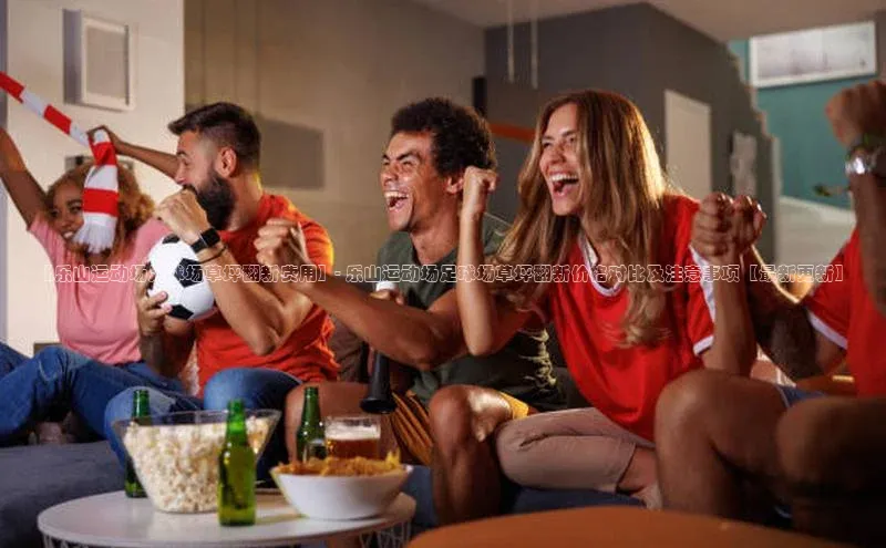 辉达注册官网入口登录百度百聘【乐山运动场足球场草坪翻新费用】- 乐山运动场足球场草坪翻新价格对比及注意事项【最新更新】