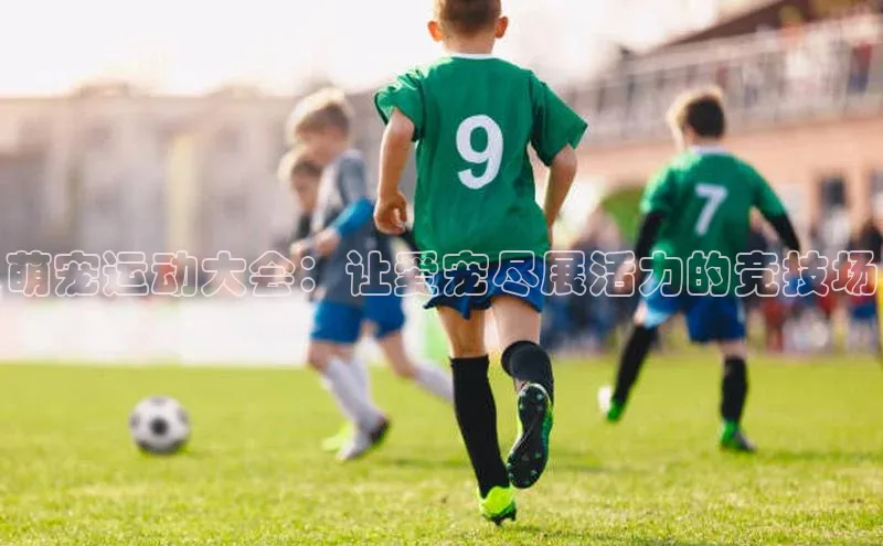 辉达app官方下载神思电子萌宠运动大会：让爱宠尽展活力的竞技场