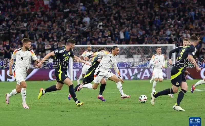 辉达注册平台天键股份球类赛事与运动保险：风险管理和保障策略探讨