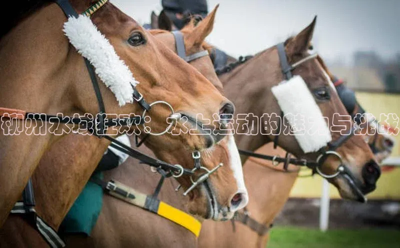 辉达娱乐平台app下载百度 H5柳州水域狂欢：水上运动的魅力与挑战