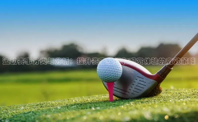运动赛事分类与分析：提升赛事组织和观赏体验的有效策略