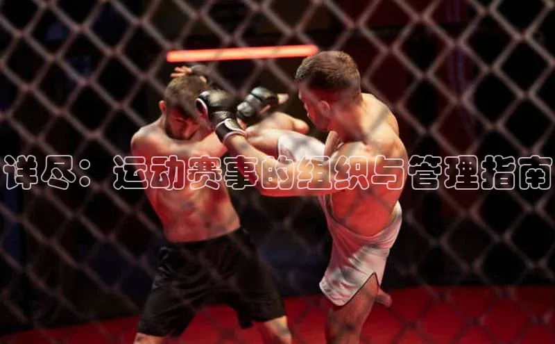 详尽：运动赛事的组织与管理指南