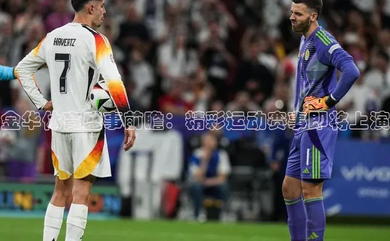 金华体育盛事前瞻：精彩运动赛事即将上演