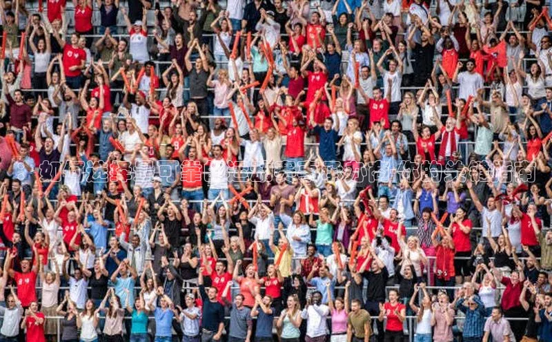 ：如何选择最可靠的运动赛事承办商-你的关键指南