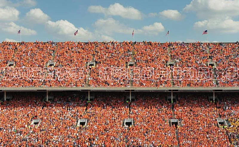 哪项运动赛事：精彩瞬间与运动员故事