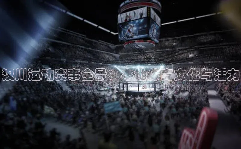 汉川运动赛事全景：本地体育文化与活力