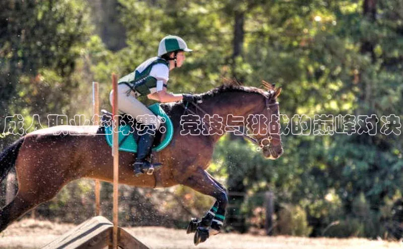 成人职业篮球赛：竞技与挑战的巅峰对决