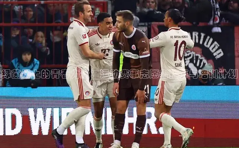 绿茵场上的青春力量：运动赛事志愿者招募与培训计划