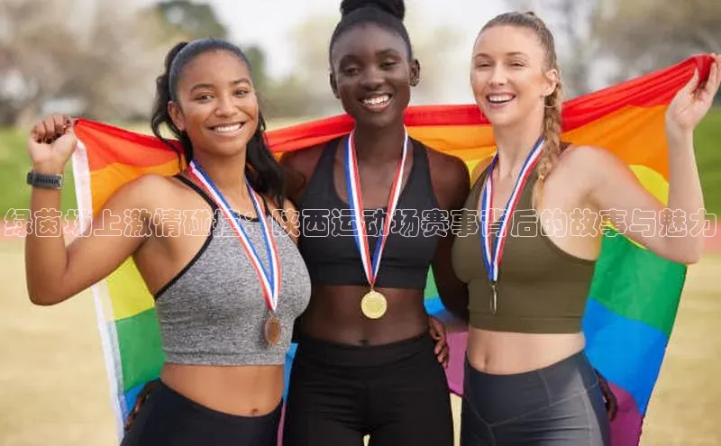 绿茵场上激情碰撞：陕西运动场赛事背后的故事与魅力