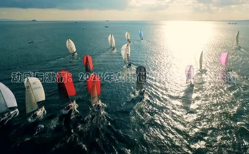 动感与激情：2023年女排世界锦标赛海报设计