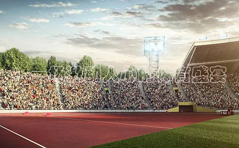 ：一场激动人心的体育盛宴