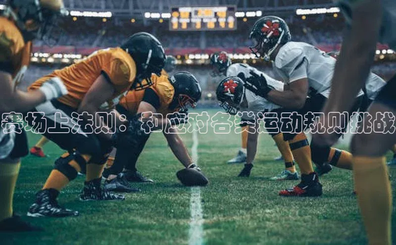 赛场上法则：和应对各类运动规则挑战