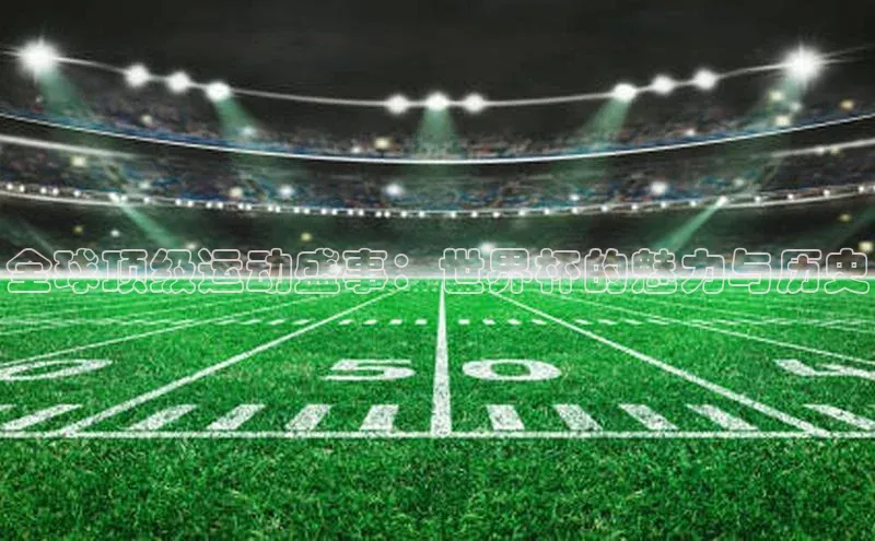 全球顶级运动盛事：世界杯的魅力与历史