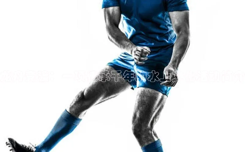 辉达娱乐下载官网