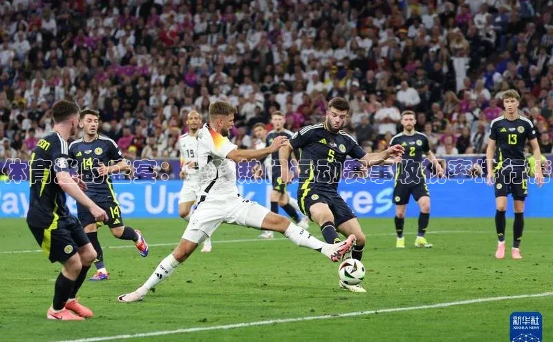 辉达注册账号入口