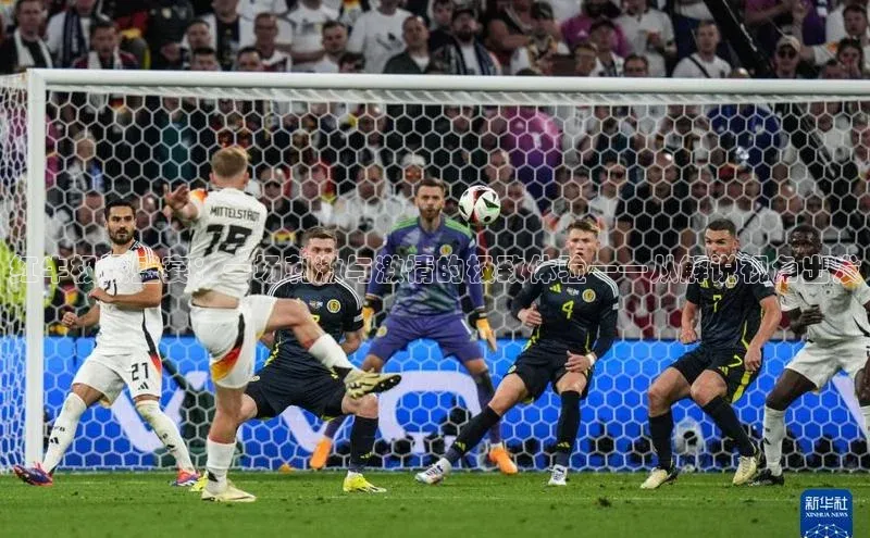 辉达平台注册账号入口