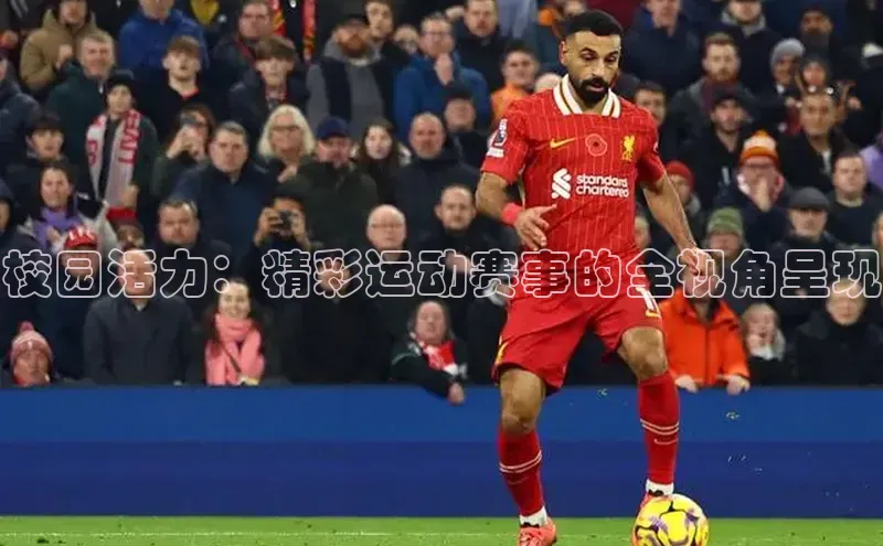 辉达平台网页版入口