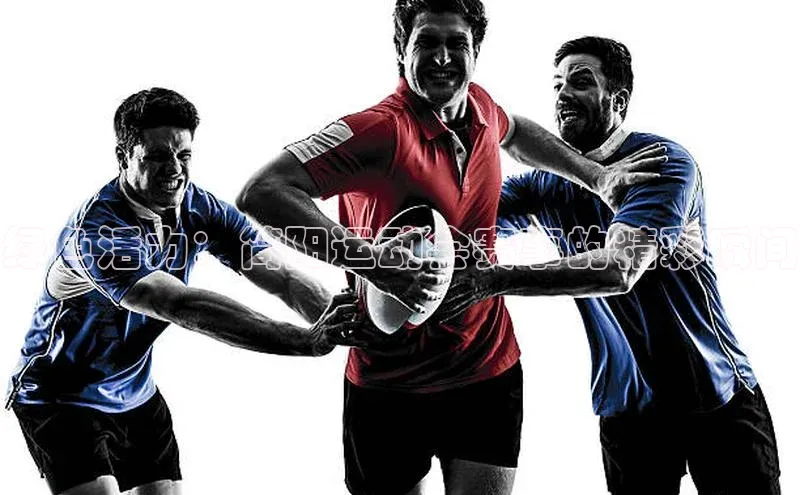 辉达娱乐app官网入口