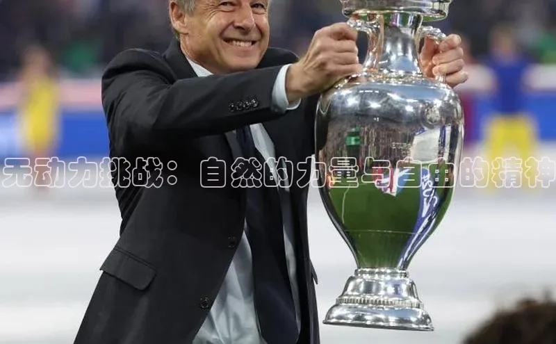 辉达娱乐平台app下载