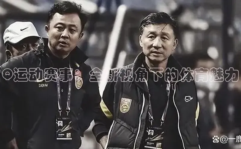 Q运动赛事：全新视角下的体育魅力